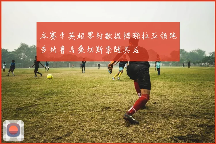 本赛季英超零封数据揭晓拉亚领跑多纳鲁马桑切斯紧随其后